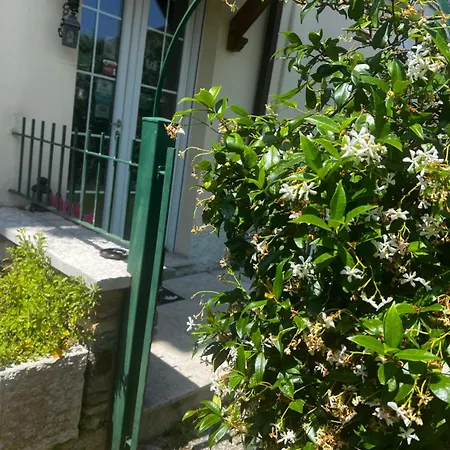 B&B Topaze-2